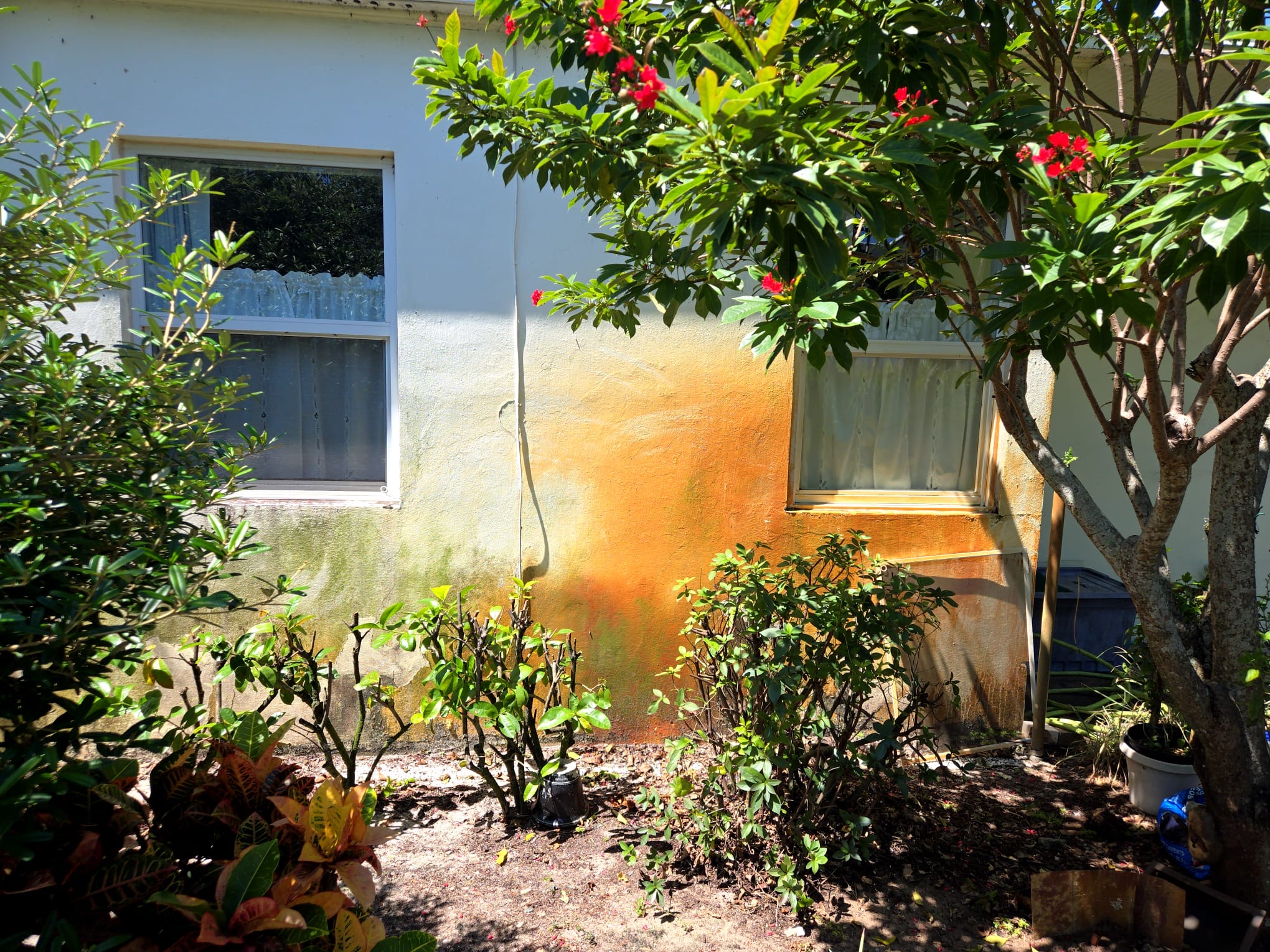 Rust Stain Removal Of Wall And Sidewalk Pressure Cleaning in West Palm Beach FL 33405  Thumbnail